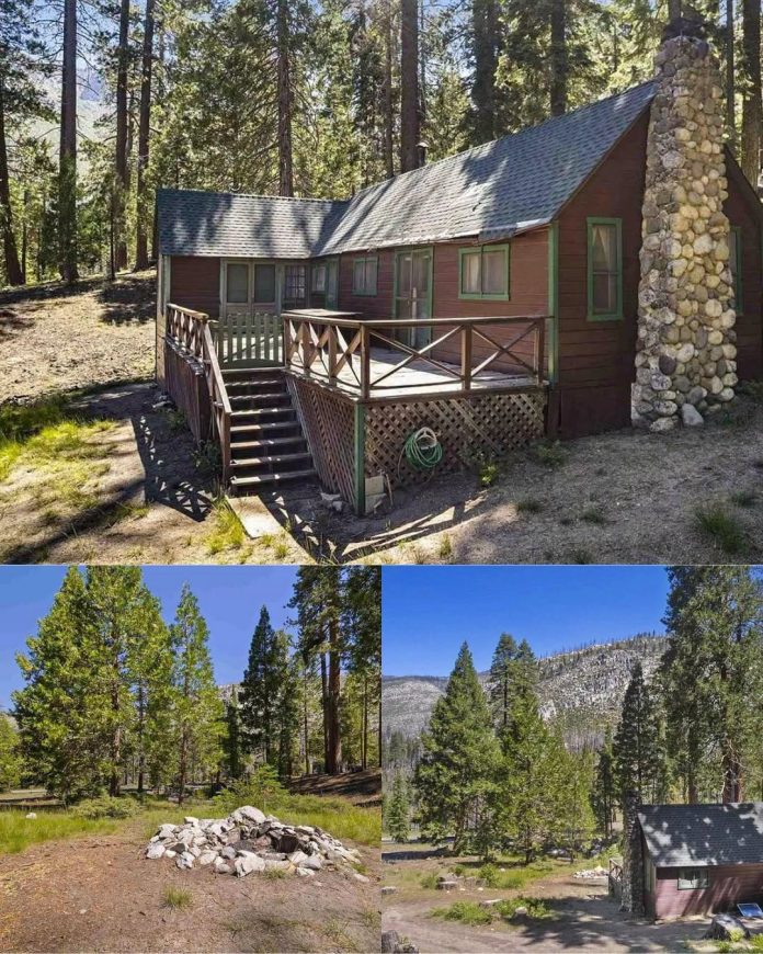 1932 Mountain Cabin in California With River Views, a Cozy Wood Stove & Peaceful Forest Setting!