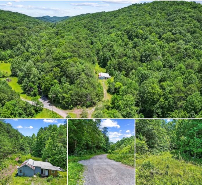 25.35 Acres of Tennessee Privacy! Rustic 2-Bedroom Home Surrounded by Woods with Endless Homestead Potential!