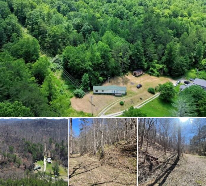 Nearly 38 Acres of Kentucky Wilderness! A 2-Bedroom Home, Wooded Trails, Wildlife, and Endless Homestead Possibilities!