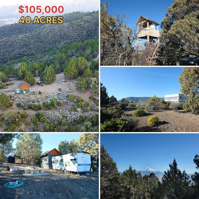 40 Secluded Acres, Two Cabins & Mountain Views in California for Just $105,000!