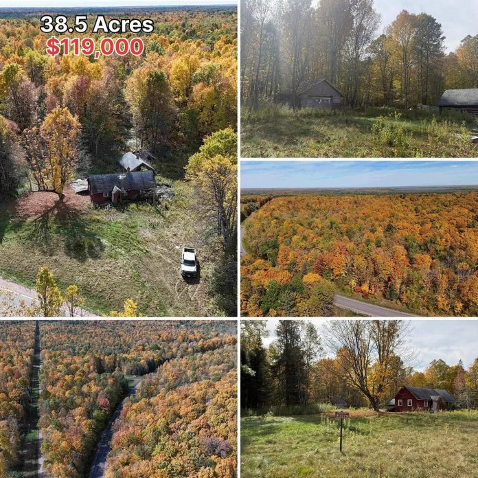 38.5 Wooded Acres in Wisconsin With Electricity & a Private Driveway for Just $119K!