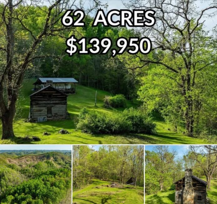 72.79 Acres of West Virginia Wilderness with Creeks and Hunting Opportunities