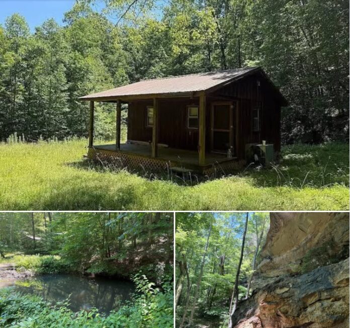 116 Acres of Kentucky Wilderness! A Rustic Cabin, Private Pond, and National Forest Next Door!