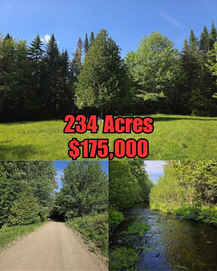 234 Secluded Acres in Maine With Nearly a Mile of Private Brook Frontage & Beautiful Forest!