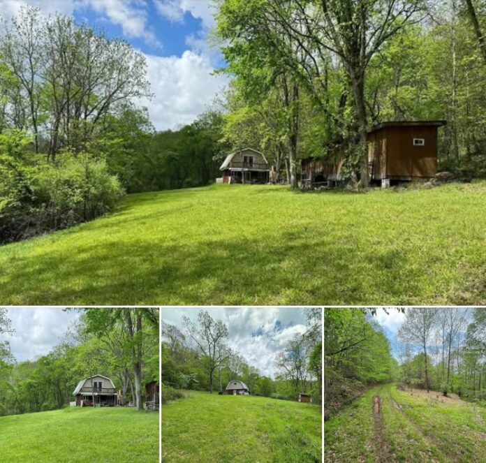 104.81 Acres in West Virginia with Secluded 2-Bedroom Cabin