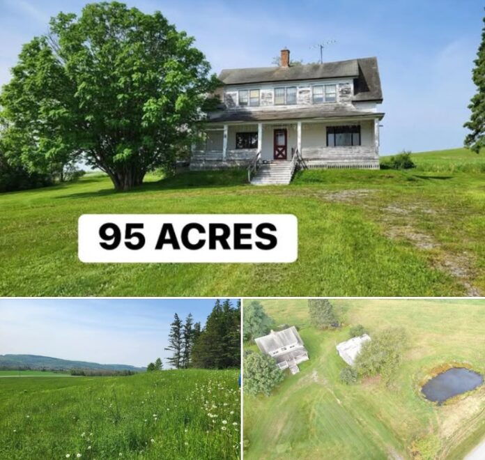 95-Acre Maine Country Property With Pond, Open Fields and Stunning Views Toward Canada