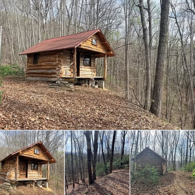 Cozy Log Cabin With Breathtaking Mountain Views & Peaceful Creekside Charm!