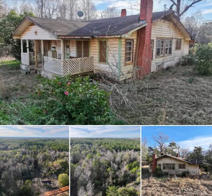 7.7 Acres of Country Paradise! This 1939 Alabama Home Is Full of Potential!