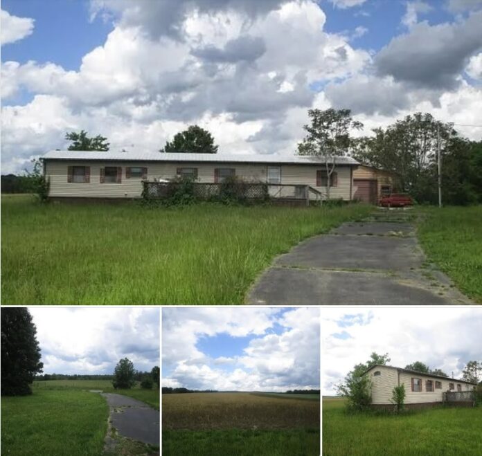 A Cozy Virginia Home on Over 1 Acre! This 2-Bedroom Property Comes With a Huge Detached Garage
