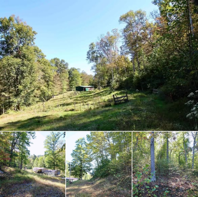 WOW! 84 Acres in West Virginia With TWO Homes, Barn & Fenced Pastures!