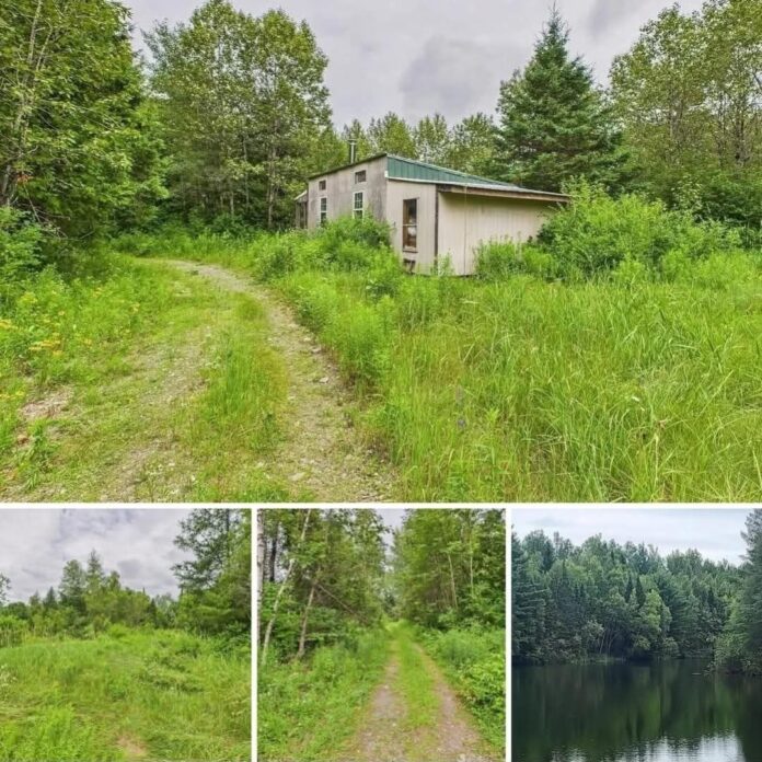 24 Secluded Acres in Maine With a Rustic Cabin, Two Spring-Fed Ponds & Wildlife!