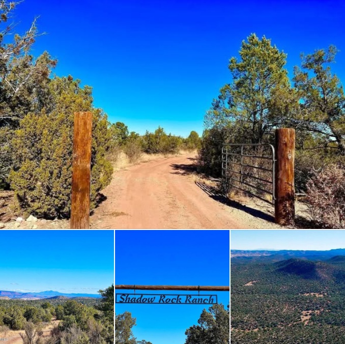 40.57 Wooded Acres in Arizona with Mountain Views, Privacy, and Room to Build