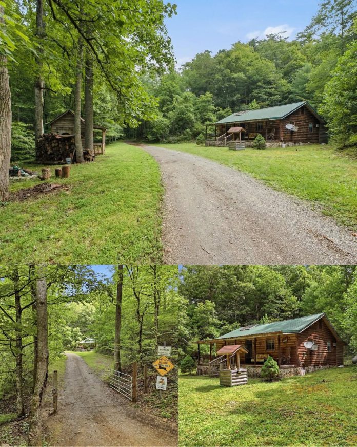 Secluded 1982 Tennessee Mountain Cabin With Solar Panels & Beautiful Wooded Acreage!