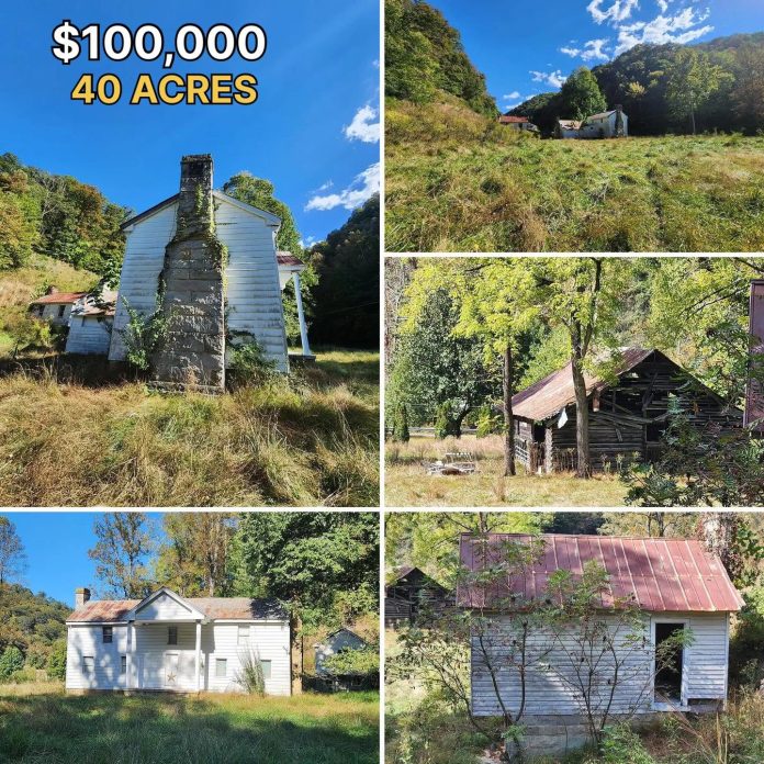 40 Acres, an 1890 Farmhouse & Historic Barns in Virginia for Just $100,000!