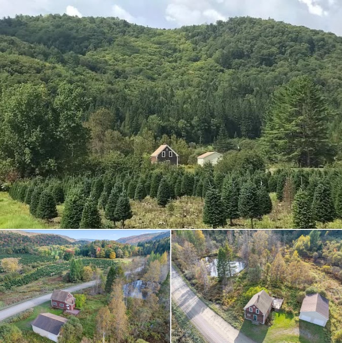 245 ACRES OF PRIVATE NORTH COUNTRY LAND IN STEWARTSTOWN, NEW HAMPSHIRE