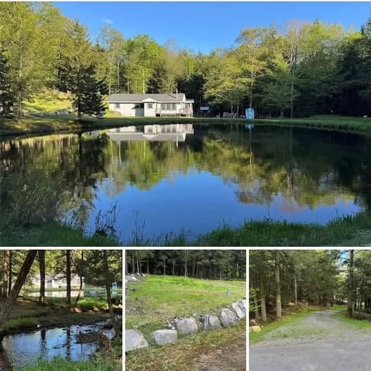 10 Private Acres, a 3-Bedroom Home, Trout Pond & Creek in New York’s Catskills!