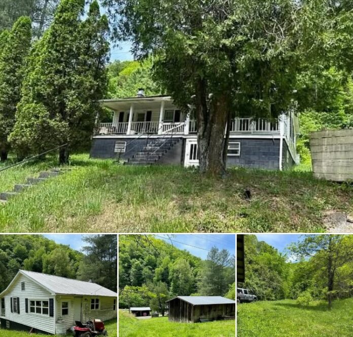 35.64 Acres in Virginia—This 1900 Cottage Has a Surprise!