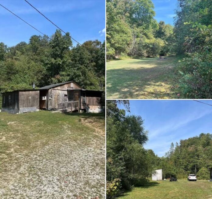 49 Acres in Kentucky! A Rustic Cabin, 7 Level Acres, Electricity, and Beautiful Wooded Hills!