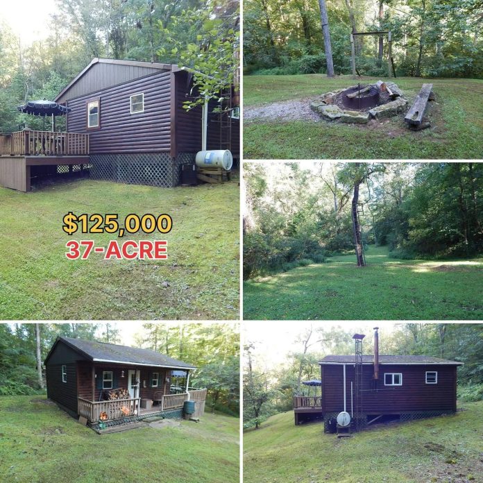 37 Acres, an Off-Grid Cabin & Private Hunting Trails for Just $125K!