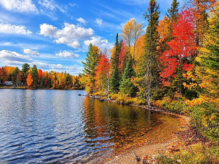 Michigan Lakefront Land for $119,000 With 335 Feet of Beaver Station Lake Shoreline