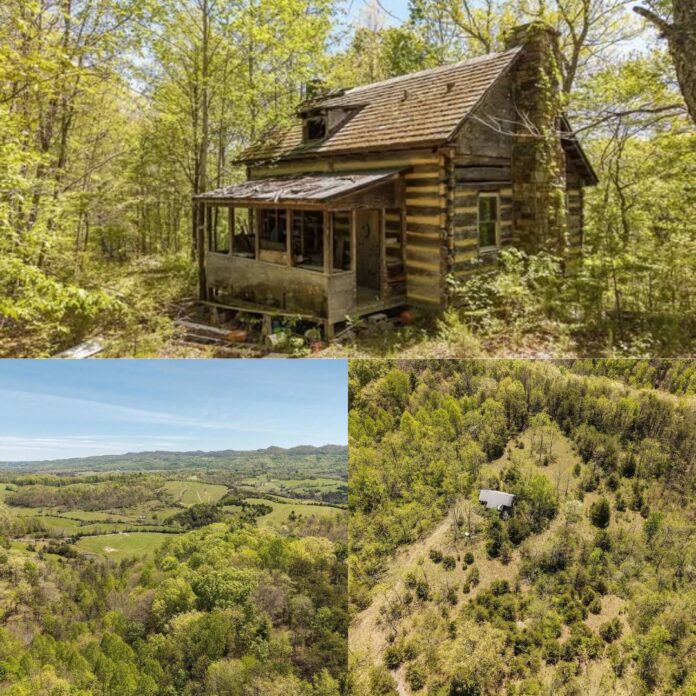 Hidden in 55 Acres of West Virginia Wilderness! Secluded Log Cabin With Mountain Spring, Trails and Incredible Privacy!