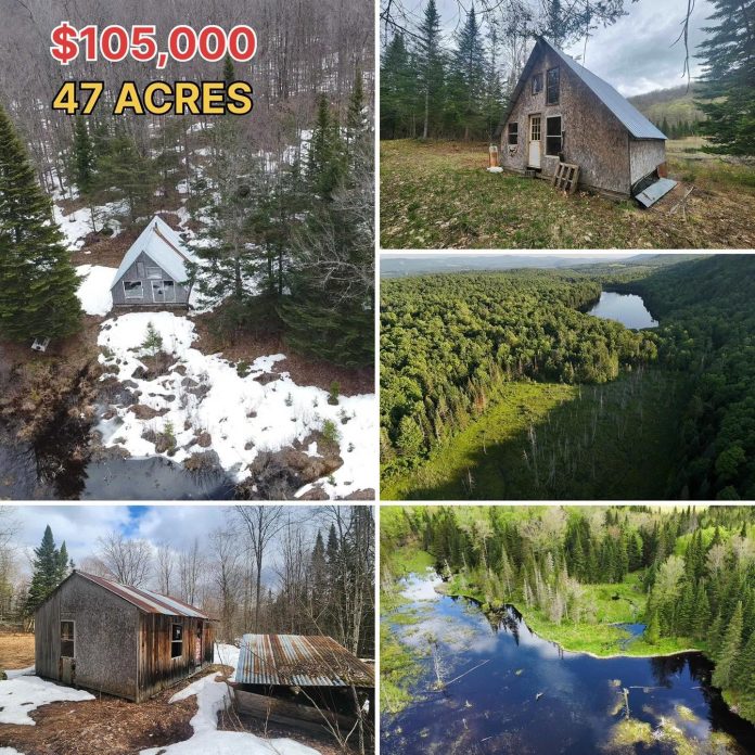 47 Acres, Two Cabins & a Private Pond for Just $120,000!