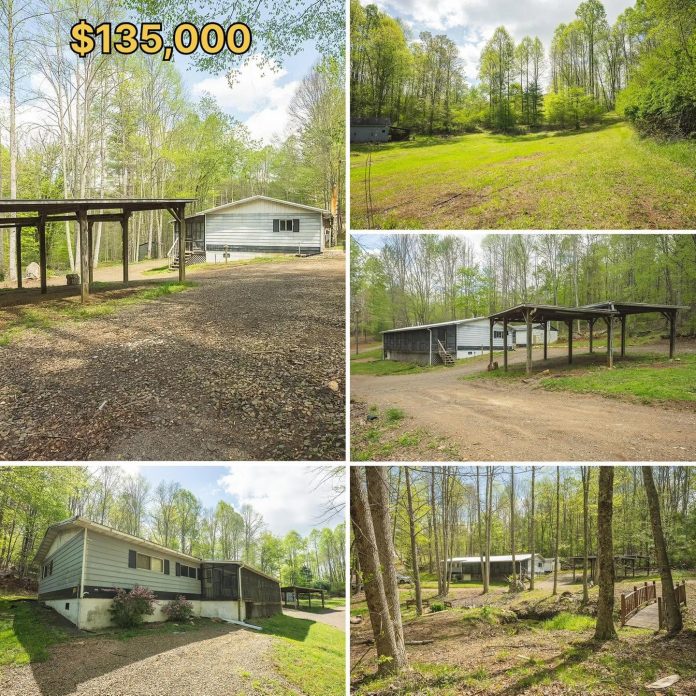 8.61 Acres, a Spring-Fed Pond & 4 Bedrooms for $135K!