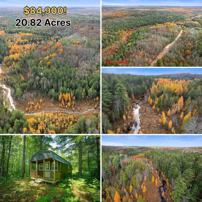 20 Acres, a Riverfront Cabin & 1,100 Feet of Waterfront for Just $84,900!