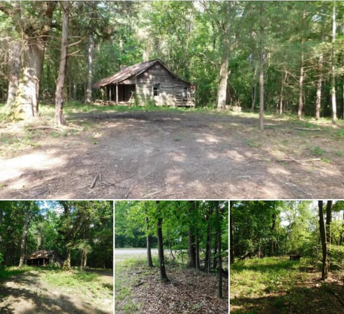 3.74 Acres in Mississippi! A 100-Year-Old Cabin With Historic Heart Pine Wood and Endless Possibilities