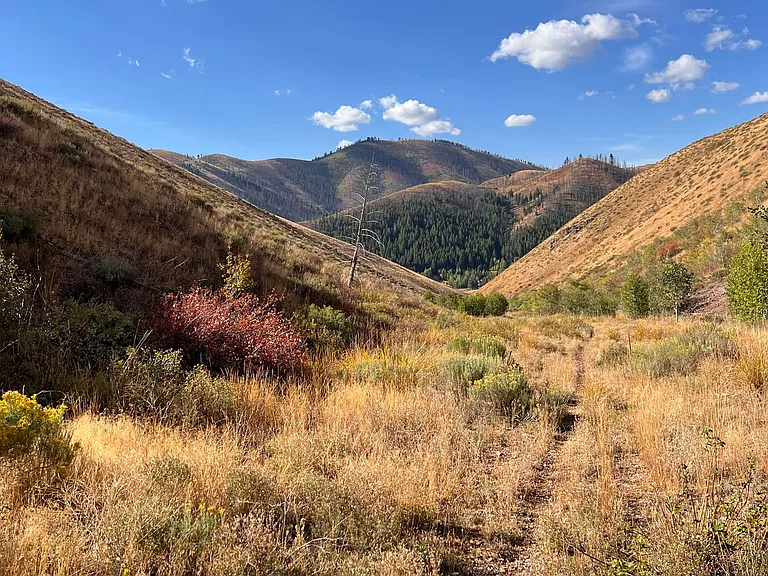 Idaho Mountain Retreat for $125,000 — 5 Acres Near Hailey