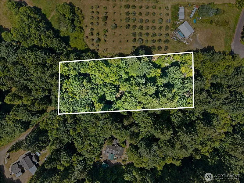 Washington Wooded Land for $110,000 With 2.4 Acres Near Olympia