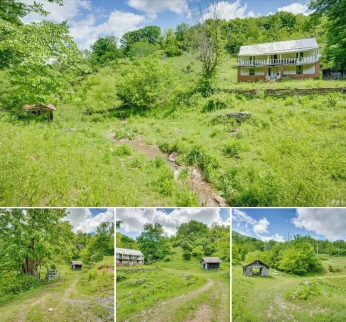 120 Acres in Virginia! An Old Farmhouse, Open Pastures, Wooded Hills, and a Creek—A Country Dream Waiting to Come Alive!