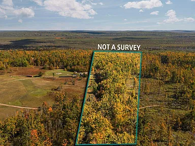 Michigan Wooded Land for Sale — A Peaceful Outdoor Retreat Near Gaylord