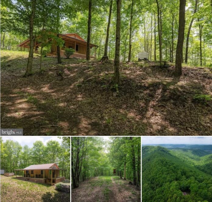 41.7-Acre Off-Grid Cabin Retreat in Summersville, West Virginia