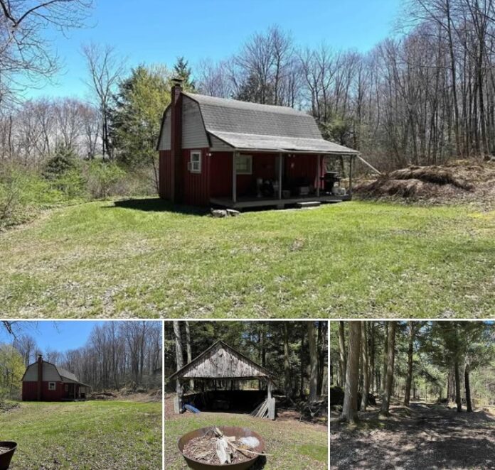 Nearly 40 Acres in New York! A Secluded 1-Bedroom Cabin Surrounded by Peaceful Countryside!