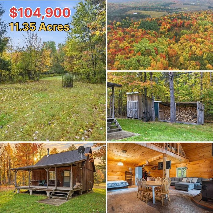 11.35 Wooded Acres & a Furnished Cabin for Just $104,900!