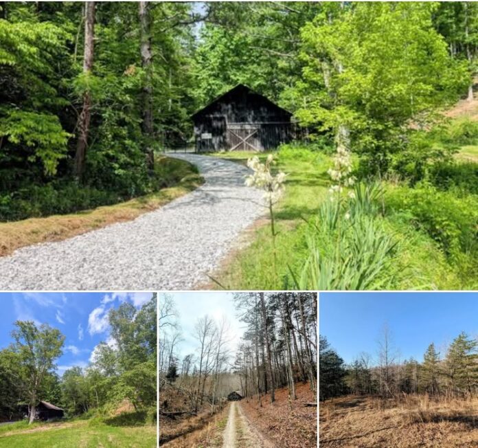 100-Year-Old Kentucky Cabin! Mountain Views, Barn, Private Trails & 700-Foot Driveway