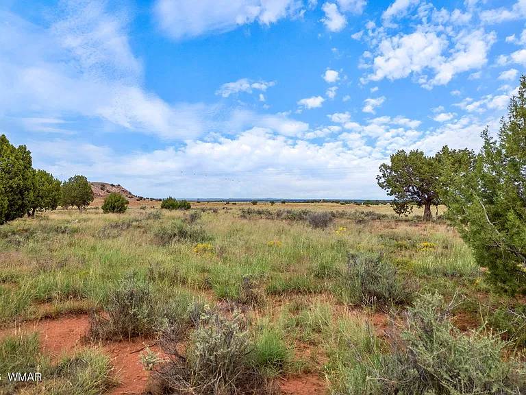 Arizona Land for $22,500 — 40.99 Acres of Fenced Ranch Country