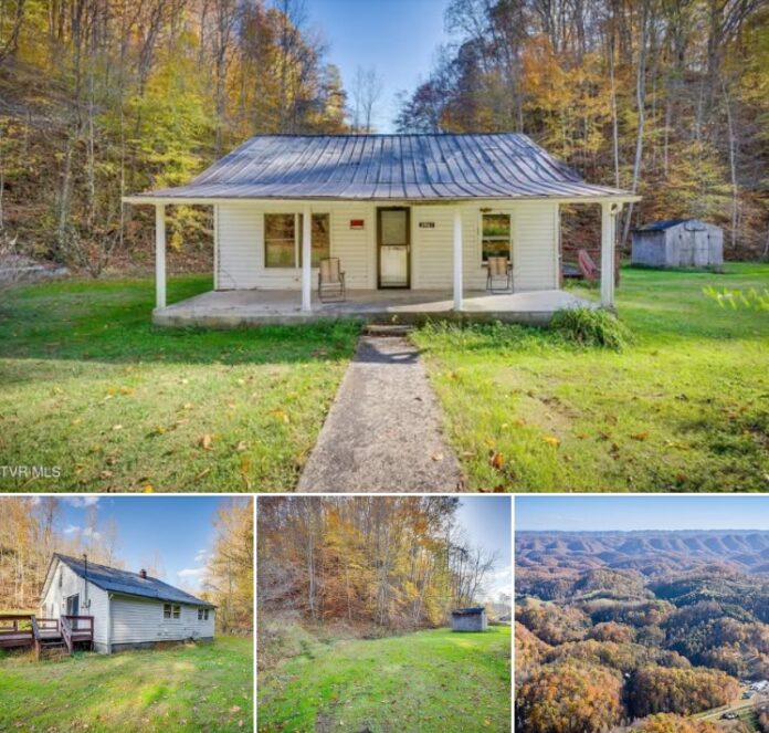 46 Acres in Virginia! A Charming 1938 Farmhouse, Old Barn, Wooded Hills, and Beautiful Mountain Views!