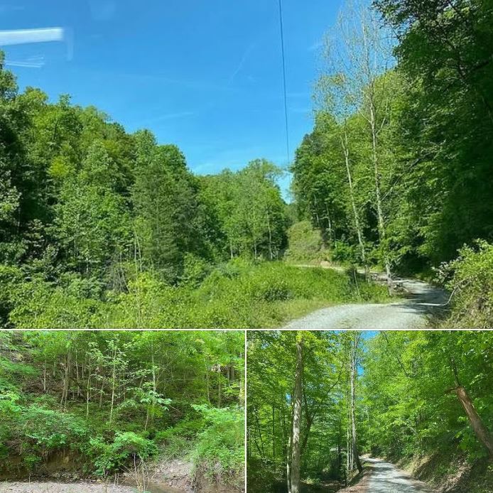 63.64 Acres of Kentucky Wilderness! Wooded Hills, Wildlife, Private Trails, and Endless Possibilities!