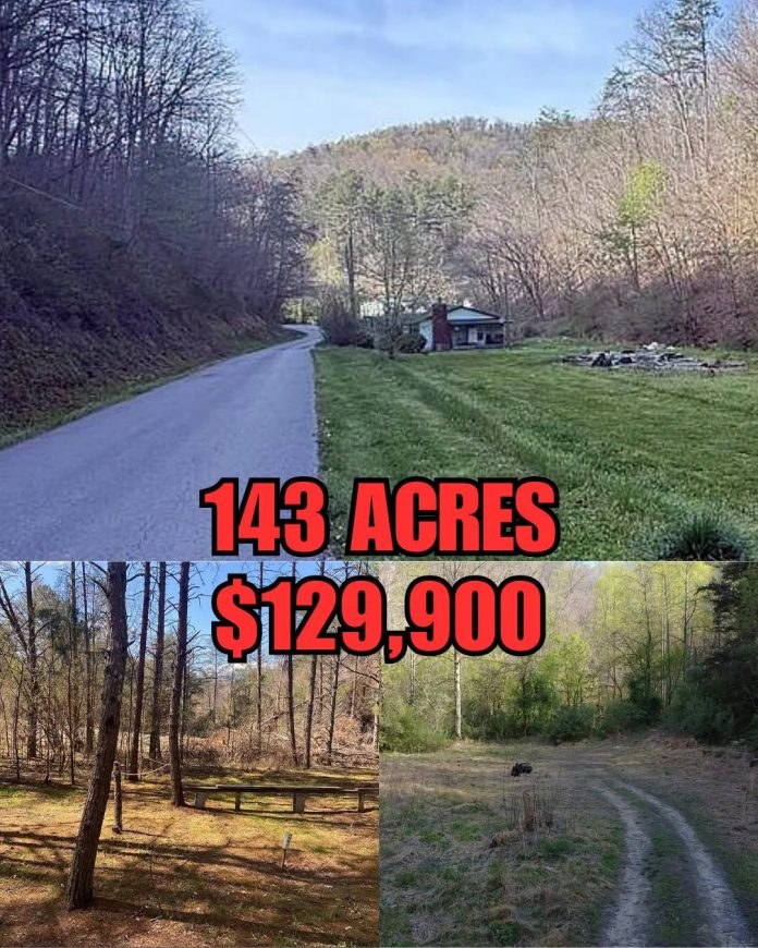 143 Acres of Kentucky Mountain Paradise With a Hunting Cabin, Private Pond & Beautiful Forest Trails!