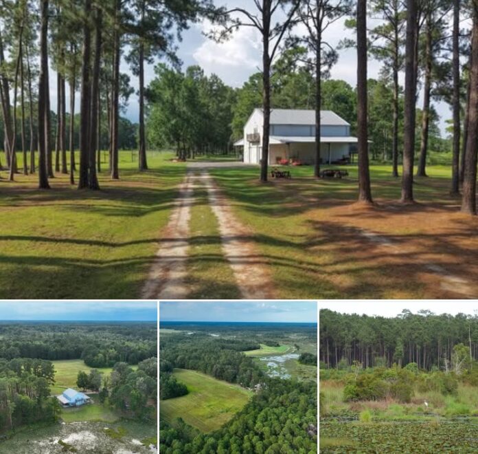 536 Acres of Waterfront Paradise! A Stunning Hunting Lodge, 1.2 Miles of Riverfront, and Incredible South Carolina Wildlife!