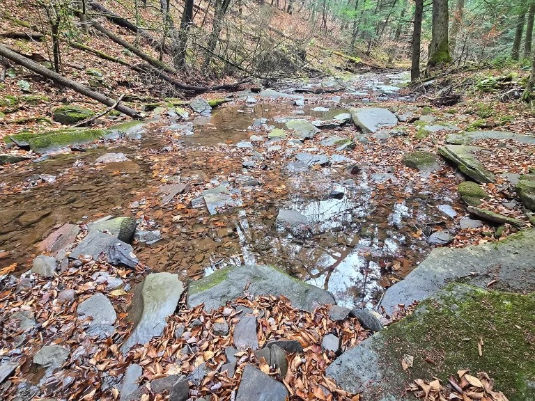 33.32 Private Acres in New York with a Beautiful Brook, Natural Pools, and Wooded Land