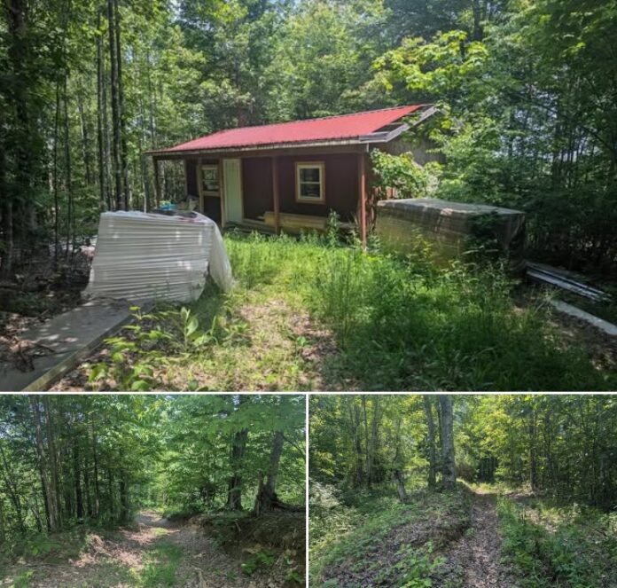 50.9 Acres of Kentucky Wilderness! An Off-Grid Cabin, Natural Springs, Streams, and Private Trails!