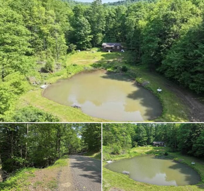 30 Acres in New York! Off-Grid Cabin, Private Pond, Trails & Total Woodland Privacy