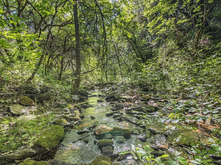 California Land for $49,999 — 9.24 Acres With a Year-Round Creek
