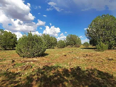 Arizona Mountain Land for Sale — Build Your Own Retreat Near Williams