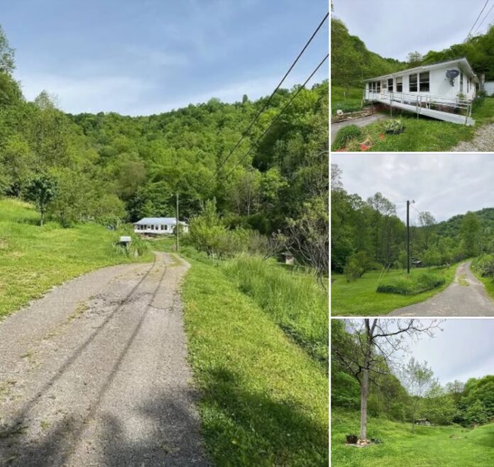 25 Acres of Kentucky Countryside! This Hidden Home Comes With a Barn, Fruit Trees, and Wooded Hillsides