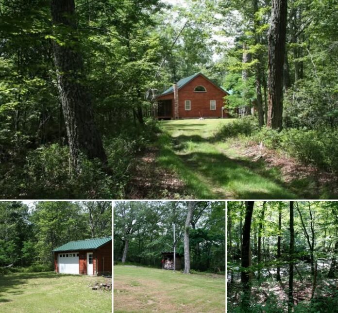 194 Acres of Mountain Paradise! A Private Log Cabin, Wild Trout Stream, and Breathtaking Virginia Wilderness!
