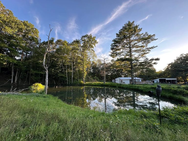 PREMIUM COUNTRY CABIN AND 77.5 ACRES IN RENICK, WEST VIRGINIA